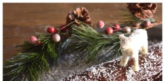 Χριστουγεννιάτικος κορμός με κάστανα