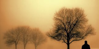 Οι διαστάσεις του ανθρώπου