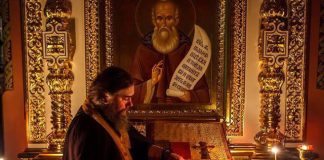 Όπως και το γέρικο δέντρο