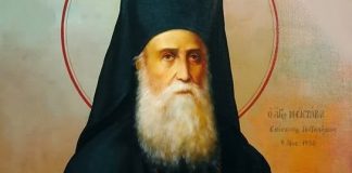 Η αγάπη προς την φύση…Άγιος Νεκτάριος