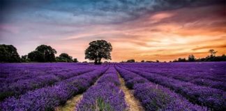 Εμπόδια για την επίσκεψη της Θείας Χάριτος στον άνθρωπο