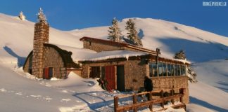 Που να βρει κανένας καταφύγιο;