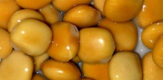 Τι είναι τα λούπινα ;