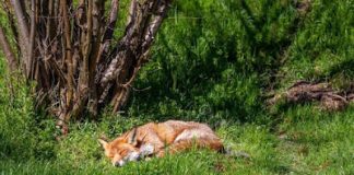 Χρειάζεται μετάνοια σταθερή και επίμονη