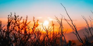 Υπάρχουν 4 γνώμες για μένα. Κι άλλες τόσες για σένα… Ποιανού η γνώμη έχει τη μεγαλύτερη βαρύτητα;