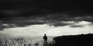 Ο φθόνος είναι πάθος που δύσκολα εξαλείφεται