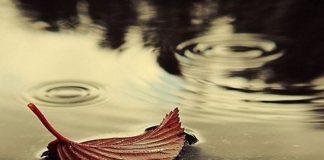 Άγνωστος μοναχός: Ερμηνεία του «Κύριε Ελέησον»