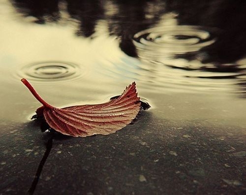 912f7e9731d538222a37b6dfd52bbc17