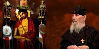 Γέρων Εφραίμ Φιλοθεΐτης: «Τον νυμφώνα σου βλέπω»