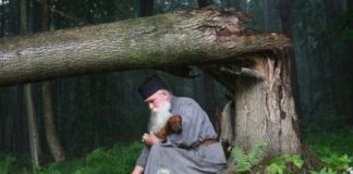 Δεν θεωρώ ως μετάνοια, να εγκαταλείψετε μόνο τις παλαιές πράξεις σας …