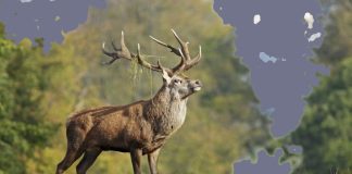 Το μεγάλο εμπόδιο