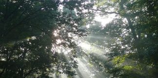 Μή μοῦ ζητᾶς νά σ΄ ἀγαπῶ, ἡ ἀγάπη δέν ζητιέται…