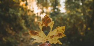 Όπου είναι η καρδιά σου, εκεί είναι και ο θησαυρός σου…