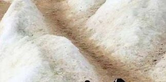 Καλό, κακό….. ποιος ξέρει ;