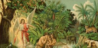 Αυτό συνέβη και στην περίπτωση των πρωτοπλάστων