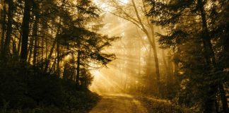 Η δοκιμασία έγκειται στο να καταδείξει δύο πράγματα …