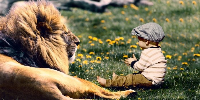 mi-fobasai-mono-pisteye-1280x640