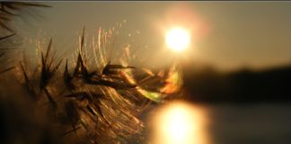 Προσέχετε τους λογισμούς σας …