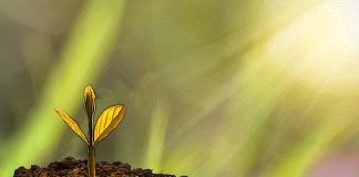 Την υπομονή πάντα να την κρατάς γιατί είναι το μεγαλύτερο φάρμακο