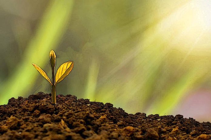 ypomoni-kai-pisti-dokimasies