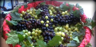 Γιατί ευλογούνται τα σταφύλια στην εορτή της Μεταμορφώσεως του Σωτήρος ;