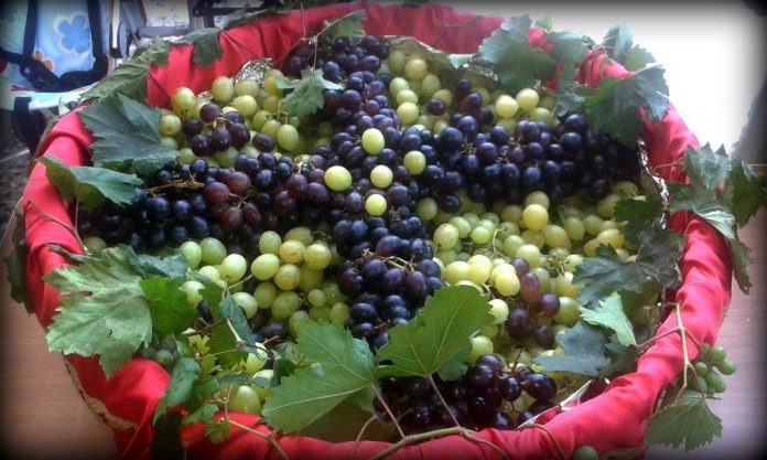 20690074_1612525218780967_1012655363517844668_o