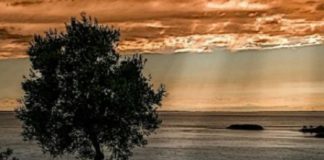 Να μετριάσεις την εμπιστοσύνη στη διαίσθηση σου…