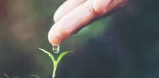 To μυστικό της καλής ζωής