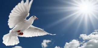 Ο καρπός του Αγίου Πνεύματος είναι η αγάπη, η χαρά, η ειρήνη…