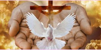 Ποιο πνεύμα ζωοποιεί;