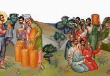 Κυριακή Η΄ Ματθαίου : Φροντίδα για τις ανάγκες της ζωής