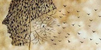 Ξέρεις τι έχω καταλάβει;