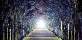 Είναι σοφό να λέει κάποιος για τον εαυτό του ότι αυτός αγαπάει το Θεό;