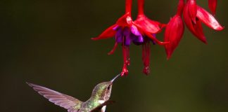 Όταν κάποιος σε μειώνει, να ξέρεις ότι το κάνει, επειδή είναι ανασφαλής