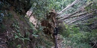 Πώς να λύσεις μια σοβαρή υπόθεση γρήγορα ;