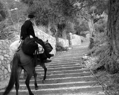 73f1a6a67a47f7c1cb755df571871e07