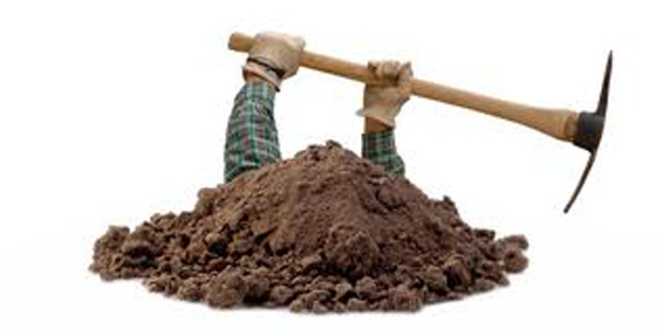 140385903_1519330928457884_4846950020943899829_n