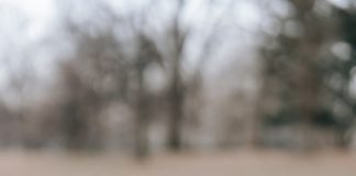 Νά ἀναζητοῦμε φίλους πού νά μποροῦν νά μᾶς ὠφελήσουν πνευματικά…