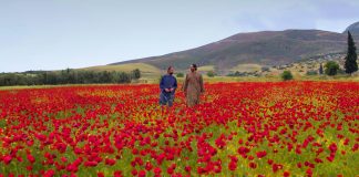 «ΚΥΡΙΛΛΟΣ ΚΑΙ ΜΕΘΟΔΙΟΣ – ΟΙ ΦΩΤΙΣΤΕΣ ΤΩΝ ΣΛΑΒΩΝ»: Παράταση Προβολών στον κινηματογράφο «Δαναός» στην Αθήνα – Πρεμιέρα στο «Ολύμπιον» στη Θεσσαλονίκη