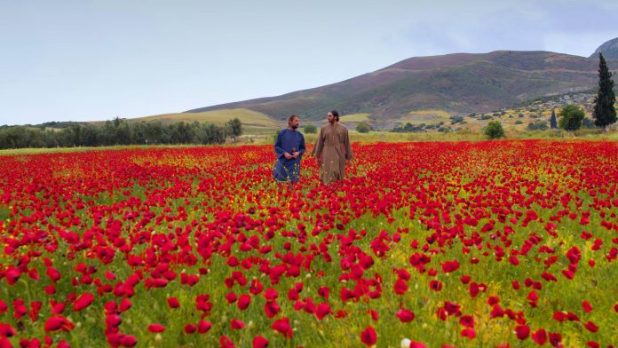 kyrillos-methodios-paparounes_1