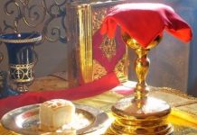 Πιστεύεις ή αμφιβάλλεις για την Θ. Κοινωνία ;