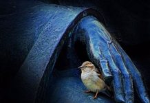 Απάνω απ όλα να αγαπάμε την καλωσύνη – Φώτης Κόντογλου