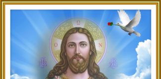 Ζήσε κάθε μέρα απλά και πες «ευχαριστώ»